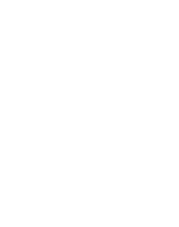 Scale
